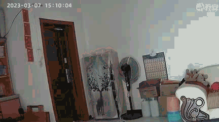 龙马潭公安破获一起入室盗窃团伙案