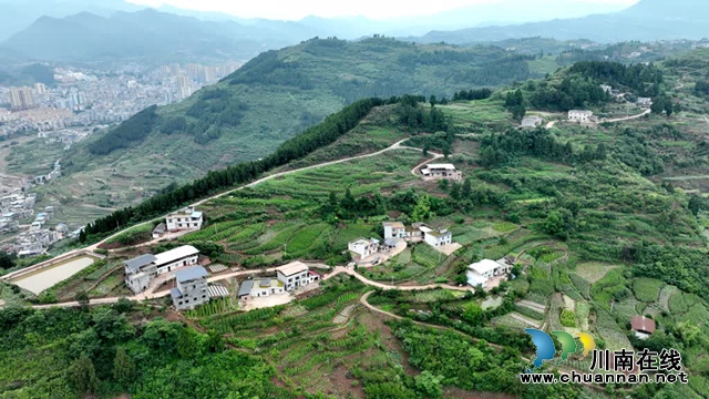 古蔺:县城周边有个“高山蔬菜村”(图1) 微信图片_20230609165210.jpg