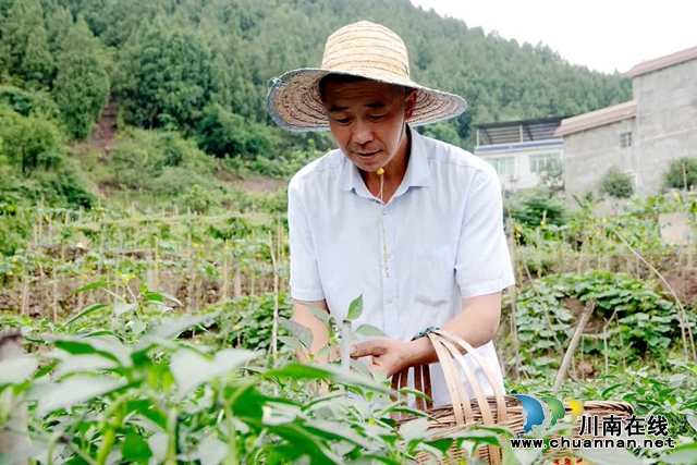 古蔺:县城周边有个“高山蔬菜村”(图7) 微信图片_20230609165252.jpg