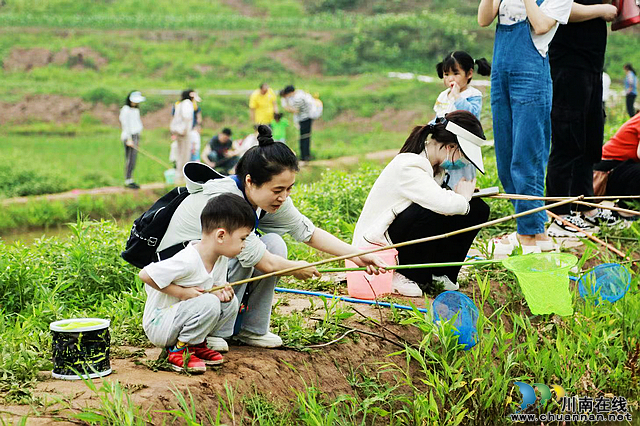 nEO_IMG_泸州市龙马潭区胡市镇来寺村高粱公社迎来了一批小客人，200余组家庭的孩子们变身“小农夫”，将课堂搬进田间地头，淘米、洗菜、钓龙虾……大家为制作“野火饭”忙前忙后，个个都做得有模有样。+(2).jpg