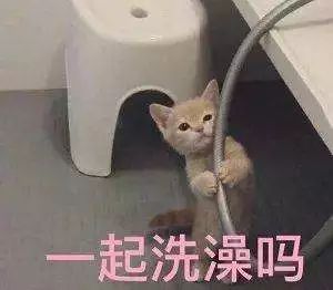 【分享】先洗头还是先洗脸?原来洗澡是有正确顺序的(图2) 2.jpg