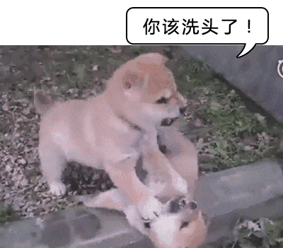 【分享】先洗头还是先洗脸?原来洗澡是有正确顺序的(图14) 14.gif