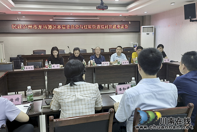 搭建统战“连心桥” 共绘基层“同心圆”┃泸州民建基层组织与街道开展共建对接活动(图2) 座谈会1.jpg