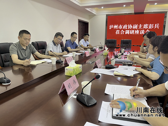 民建泸州市委赴合江开展新型工业化调研(图1) 调研座谈会.jpg