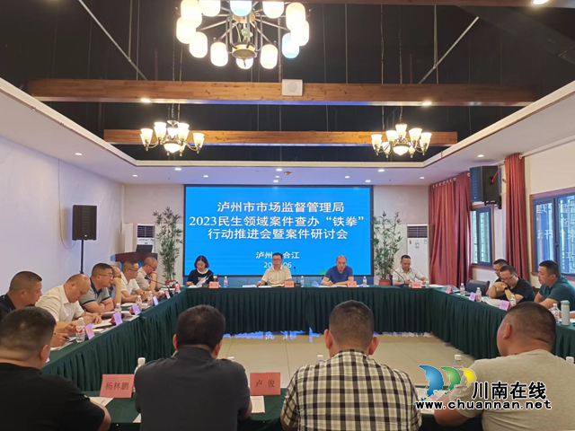 泸州市召开2023民生领域案件查办“铁拳”行动推进会暨案件研讨会(图1) 讨.png