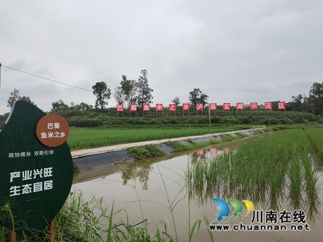 巴蜀鱼米之乡玄滩示范基地1（曾佐然摄）.jpg