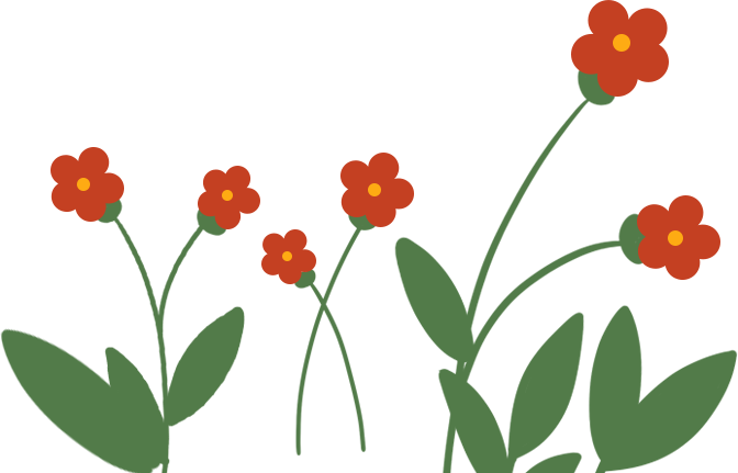 龙马潭区2023年城区公办幼儿园现场摇号名单来了！