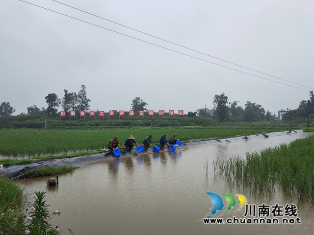 巴蜀鱼米之乡玄滩示范基地投放大头虾苗（曾佐然摄）.jpg