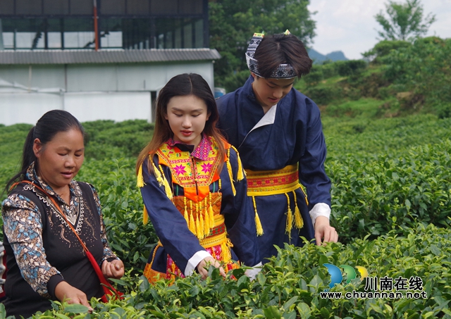 大学生直播助农 为乡村振兴注入青春涌流1.jpg