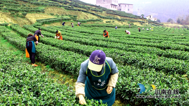 大学生直播助农 为乡村振兴注入青春涌流4.jpg