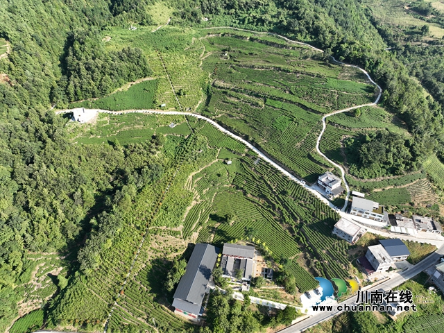 大学生直播助农 为乡村振兴注入青春涌流5.jpg