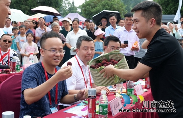古蔺县茅溪镇第九届赤水河生态杨梅节开幕(图7) 7.jpg