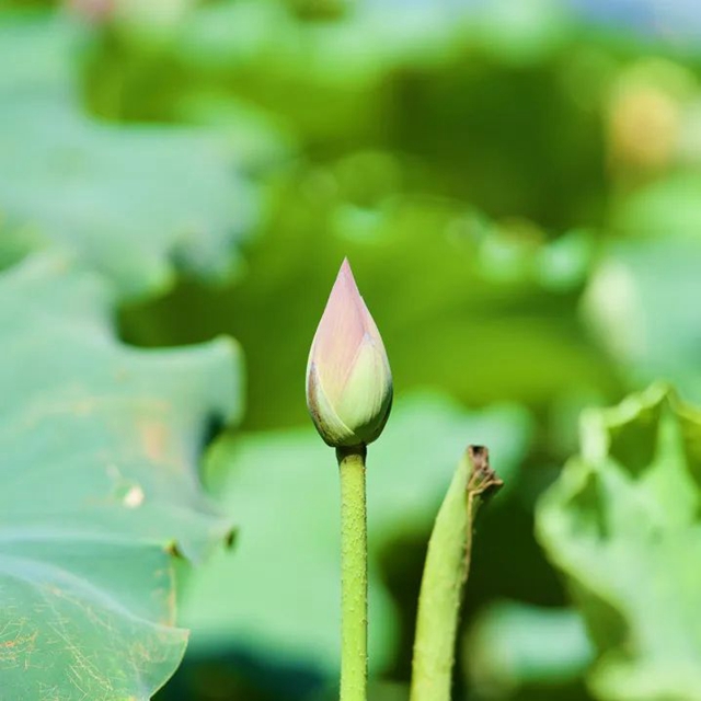 【招聘】263个岗位！泸州国家高新区2023年第一批科研助理岗位信息发布