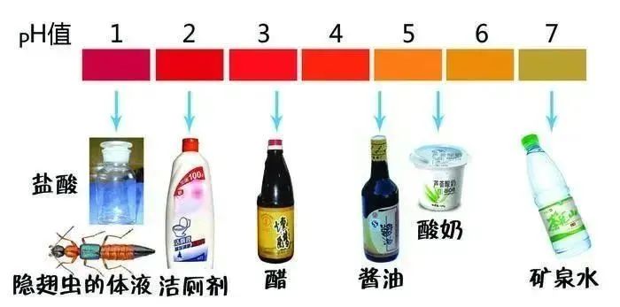 【围观】泸州女子差点毁容,竟是被虫子“泼硫酸”......(图16) 16.jpg