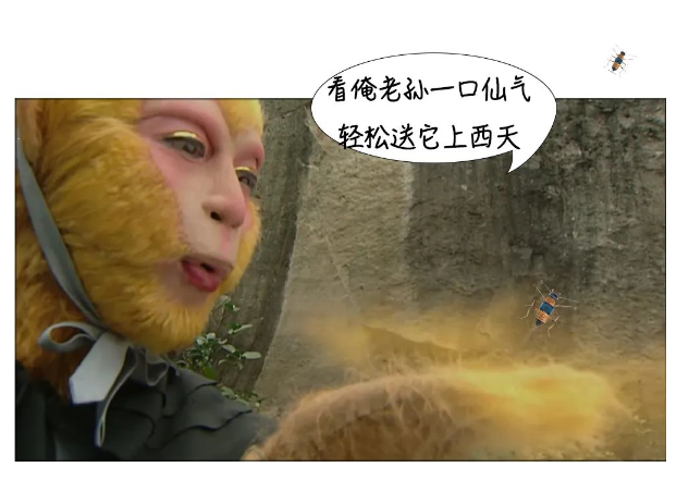 【围观】泸州女子差点毁容,竟是被虫子“泼硫酸”......(图19) 19.png