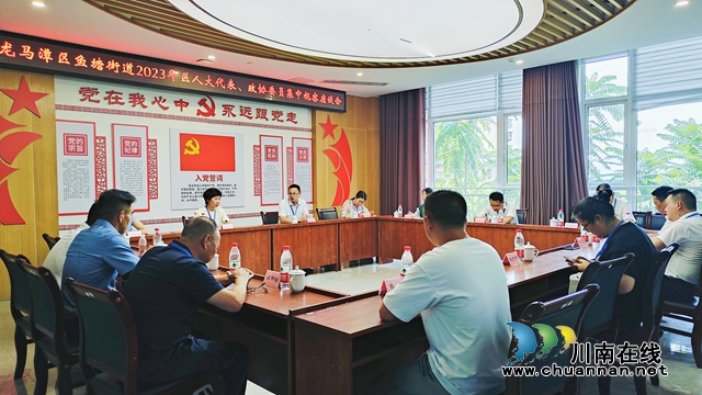 龙马潭区鱼塘街道:组织辖区人大代表、政协委员集中视察(图3) 微信图片_20230706173843.jpg