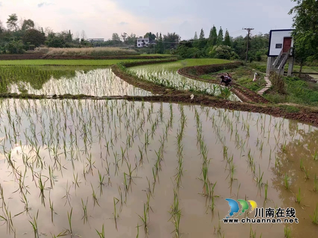 不用水时能抽水,需要水时却抽不上-奇怪的提灌站(图2) 微信图片_20230707143753.jpg