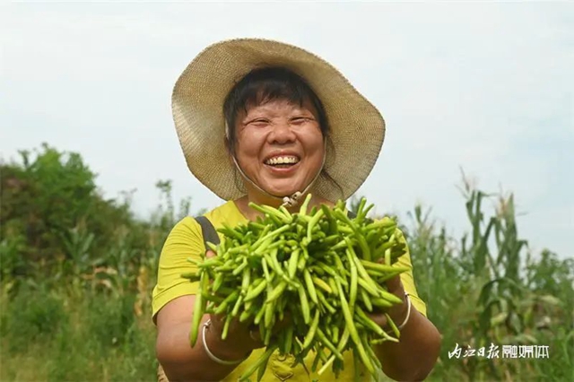 每天百多斤根本不够卖!内江这朵“花苞苞”太畅销(图10) 10.jpg