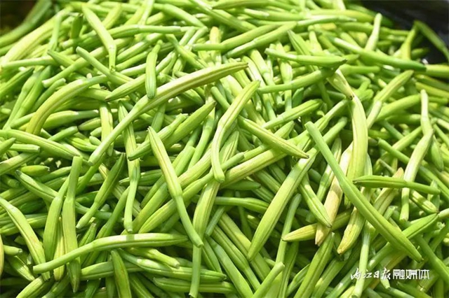 每天百多斤根本不够卖!内江这朵“花苞苞”太畅销(图7) 7.jpg