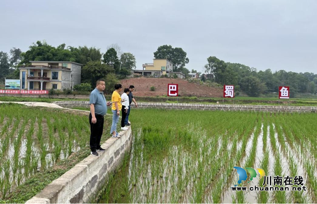 合江县：447名田长就位 齐力守好“饭碗田”