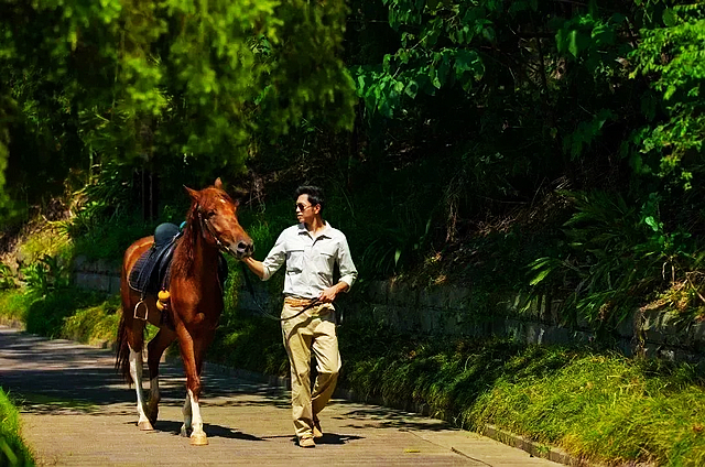 泸县龙脑桥大咖云集丨单霁翔、郑恺、王昱珩……(图24) nEO_IMG_25.jpg