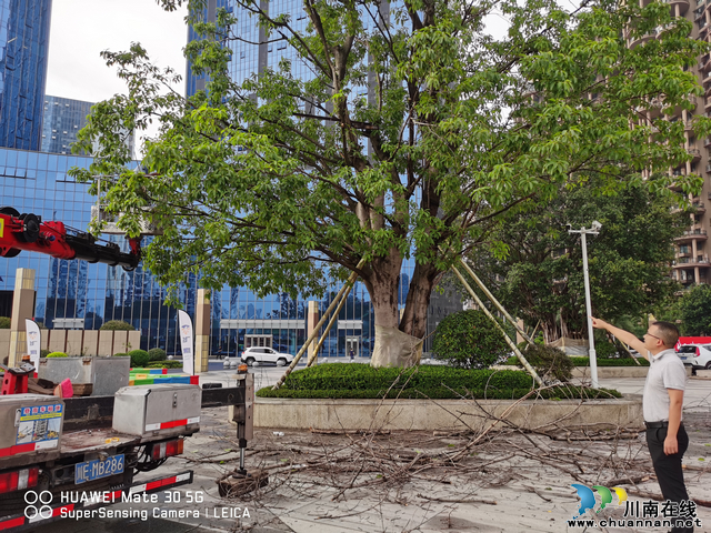 我为群众办实事|华阳街道人大代表在行动(图2) 蒲潇现场协调高空升降车.jpg