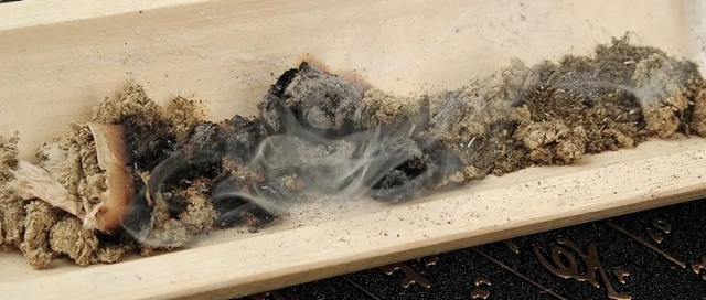 【杏林学堂】艾叶灰千万别扔——艾叶灰的神奇功效!(图2) 艾叶2.jpg