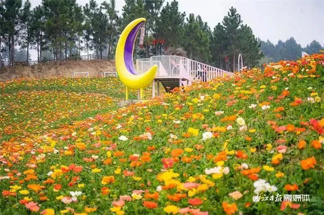 【内江好耍】万万没想到!在内江竟能同时看到3种“海”(图5) 640 (4).jpg