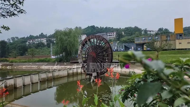 【内江好耍】万万没想到!在内江竟能同时看到3种“海”(图11) 640 (10).jpg