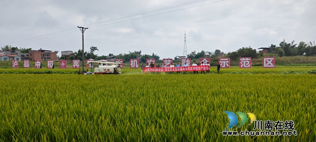 泸县中稻+再生稻全程机械化中稻验收（曾佐然摄）.jpg