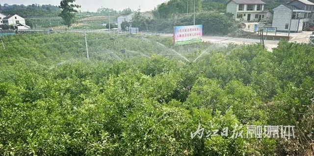 内江这个超级“水果保鲜库”有望年底投用(图4) 保鲜4.jpg