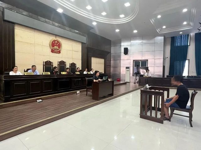 宜宾一男子滥伐林木！判刑、罚金，一个不少！