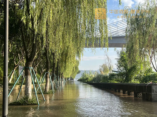 9.25米丨今夏入汛后最大洪峰今日过境泸州，滨江路停车场被淹没