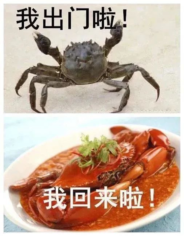 【科普】烈日炎炎，防暑降温的正确打开方式