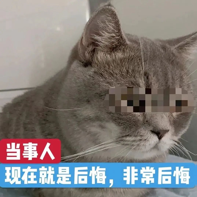 微信图片_20230816114825.jpg