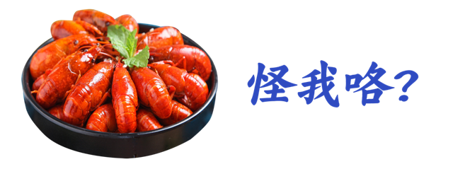 微信图片_20230816114825_7.png
