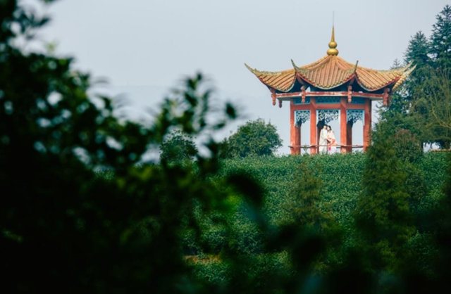 四川文旅厅推荐丨总要去一趟天府旅游名县纳溪吧(图13) 13.jpg