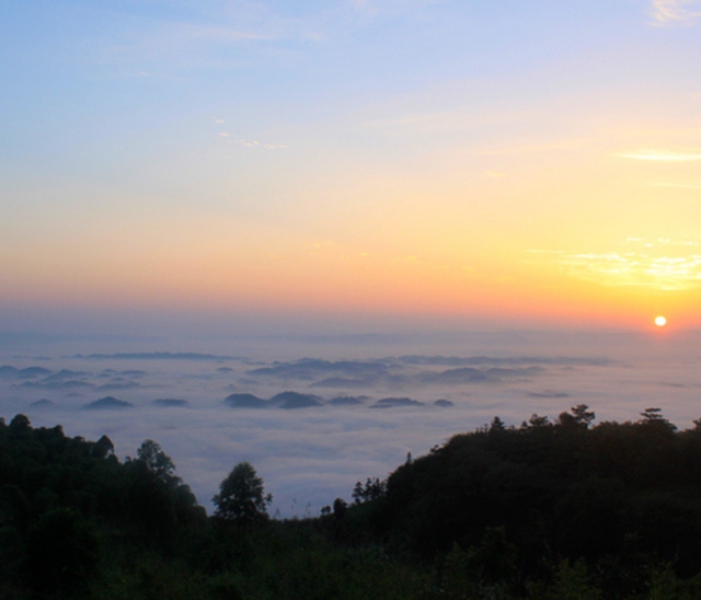 四川文旅厅推荐丨总要去一趟天府旅游名县纳溪吧(图10) 10.jpg
