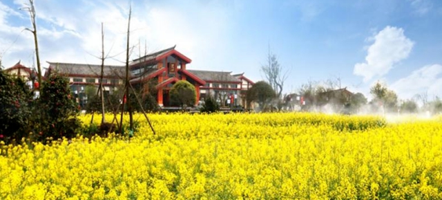 四川文旅厅推荐丨总要去一趟天府旅游名县纳溪吧(图17) 17.jpg