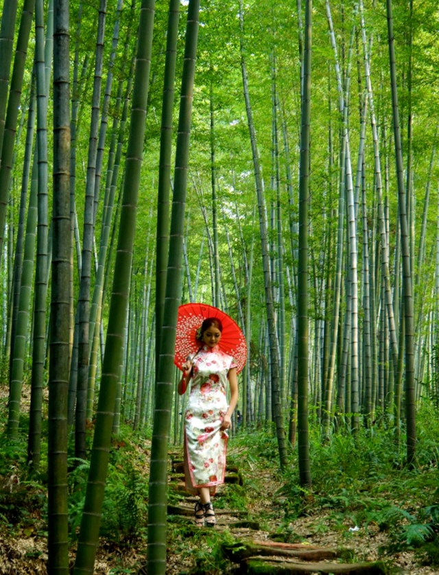 四川文旅厅推荐丨总要去一趟天府旅游名县纳溪吧(图25) 25.jpg