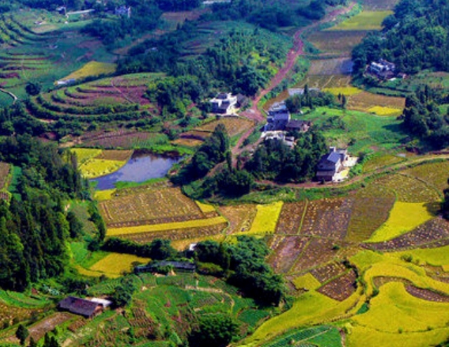 四川文旅厅推荐丨总要去一趟天府旅游名县纳溪吧(图28) 28.jpg