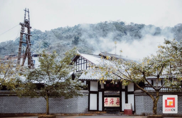 领衔川渝!千年盐都这次大有可为(图6) 6.jpg