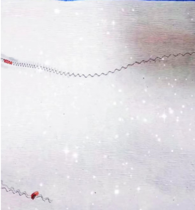 微信图片_20230825094255.png