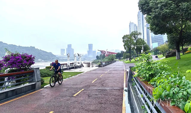 宜宾加快建设生态优先绿色低碳发展先行区(图3) 3.jpg