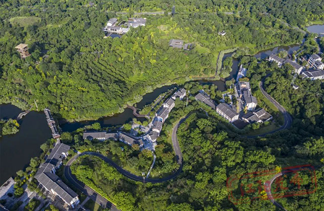 江阳桂圆的“源”与“缘”(图5) 5.jpg