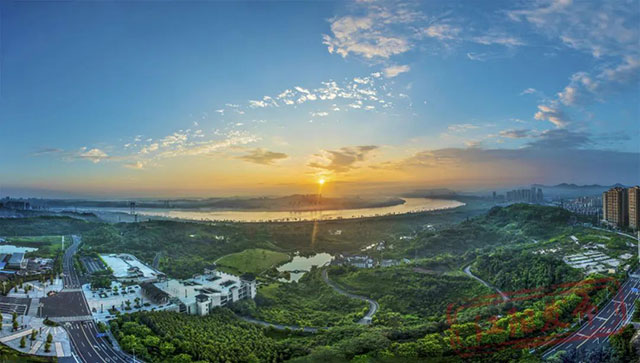 江阳桂圆的“源”与“缘”(图8) 8.jpg