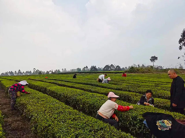 喜报!自贡市荣县又有两镇获新荣誉(图2) 2.jpg