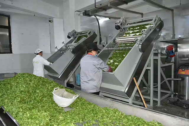 喜报!自贡市荣县又有两镇获新荣誉(图3) 3.jpg