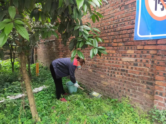 即日起,泸州将开展城市环境卫生整治、病媒生物防制攻坚行动(图2) 卫生2.png
