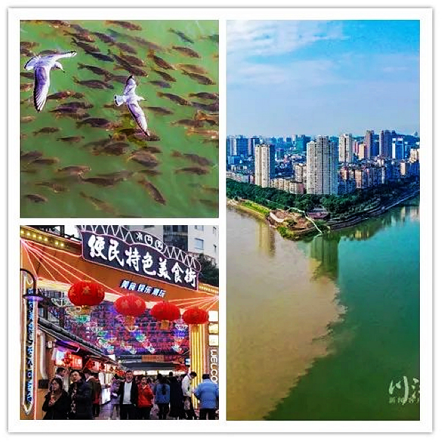 开学季丨在泸州上大学,青春版公交出行攻略请查收(图7) nEO_IMG_7.jpg